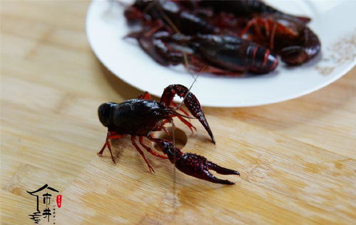 教你在家做麻辣小龍蝦,用這16種常見配料,吃完不再去大排檔