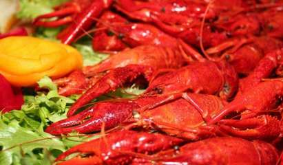 摩爾莊園麻辣小龍蝦 用產(chǎn)品與服務(wù)贏得美食消費(fèi)者