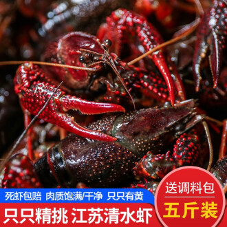 清水龍蝦與專業(yè)龍蝦調(diào)料的完美融合