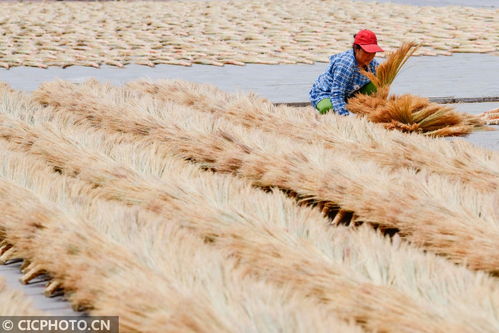 內(nèi)蒙古巴林左旗 小笤帚 掃 出大市場