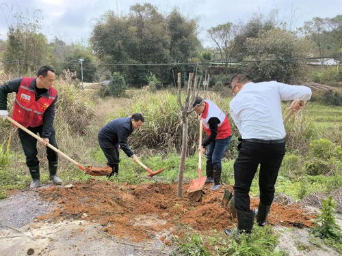 剛剛,廣東一區(qū)長被查